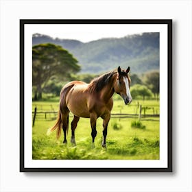 Grass Graze Equestrian Pasture Horse Rural Farm Mare Nature Field Mammal Ranch Pet Graz Art Print