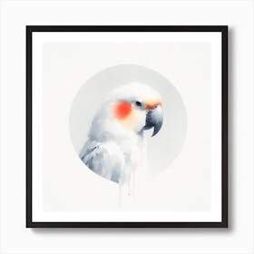 Cockatoo Canvas Print Art Print