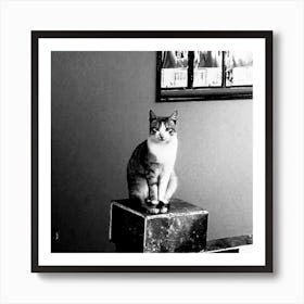 Cat In The Corner Art Print