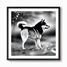 Black And White Dog 1 Art Print