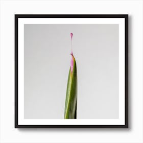 Sift. Art Print