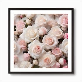 White and pink roses 1 Art Print