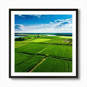 Grass Peace Air Structure Pasture Soy Bean High Country Rural Green Farm Overhead Natur (11) Art Print