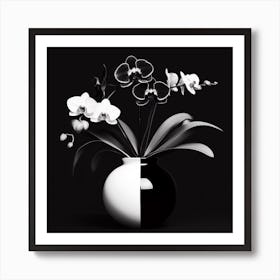 Black And White Orchids 1 Art Print