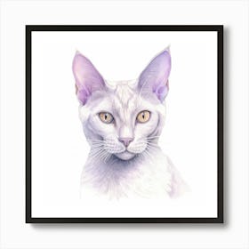 Thai Lilac Cat Portrait 2 Art Print