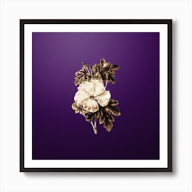 Gold Botanical Wray's Hibiscus Flower on Royal Purple n.4815 Art Print
