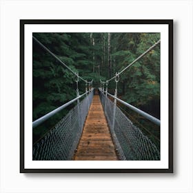 Suspension Bridge Art Print