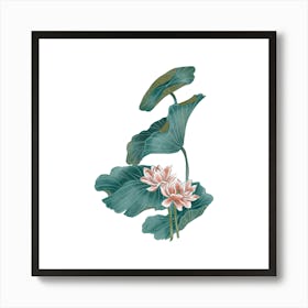 Lotus Flower 54 Art Print