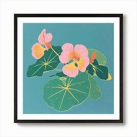 Nasturtium 2 Square Flower Illustration Art Print