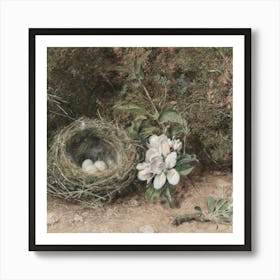 Nest 7 Art Print