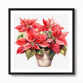 Poinsettia 12 Art Print