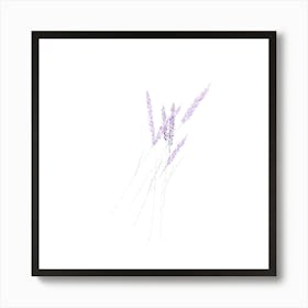 Lavender 2 Art Print