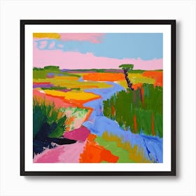 Colourful Abstract Everglades National Park Usa 4 Art Print