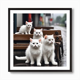 White Cats On A Bench Art Print