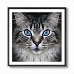 Portrait Of A Cat With Blue Eyes 3 Art Print