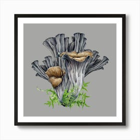 Fungus Art Print