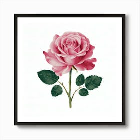 Pink Rose 7 Art Print