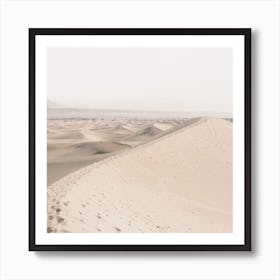 Neutral Sand Dunes Art Print