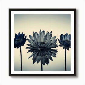 Three Blue Flowers hamptons Art Print