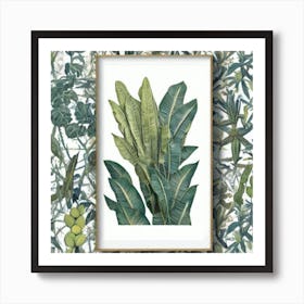 Tropical Leaves Jardin Majorelle, Morocco Vintage Botanical Art Print Art Print