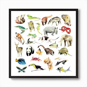 Animals Square Art Print