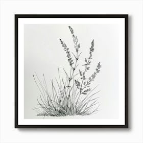 Grasses 1 Art Print