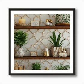 Decorative Shelves 1 Art Print