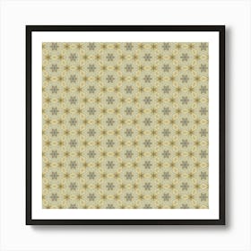 Star Basket Pattern Art Print