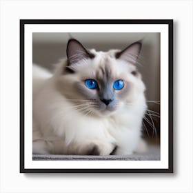 Ragdoll Cat Art Print