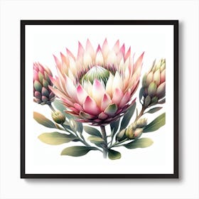 Protea 6 Art Print