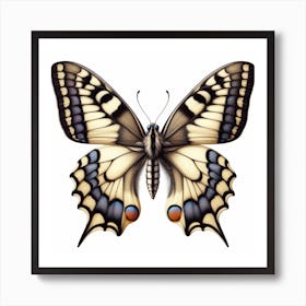 Butterfly of Papilio machaon 4 Art Print