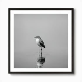 Sandpiper 2 Art Print