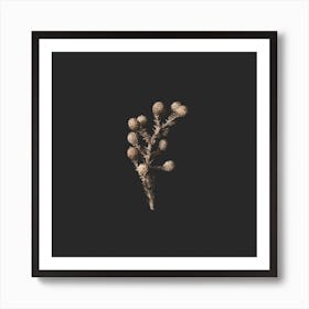 Golden Fynbos Botanicals On Black Square Art Print