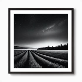 Night In The Field Art Print