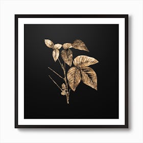 Gold Botanical Eastern Poison Ivy on Wrought Iron Black n.0226 Art Print
