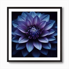 Purple Dahlia Flower Art Print