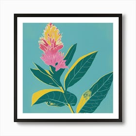 Celosia 1 Square Flower Illustration Art Print