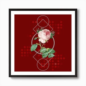 Vintage Centifolia Roses Botanical with Geometric Line Motif and Dot Pattern n.0076 Art Print