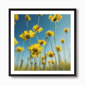 Yellow Flowers In A Field 33 Art Print