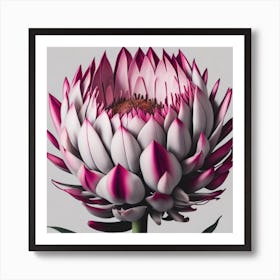 Protea myluckycharm Art Print