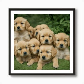 Golden Retriever Puppies 1 Art Print