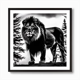 Lion In Black And White 1 Art Print