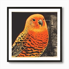 Retro Bird Lithograph Budgerigar 1 Art Print