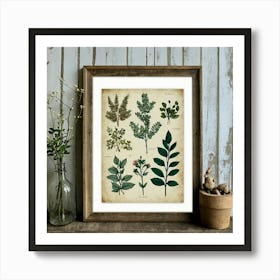 Botanical Print 1 Art Print