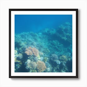 Great Barrier reef 7 Art Print