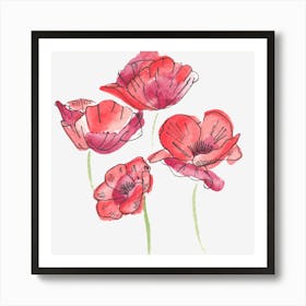 Watercolor Poppies Art Print