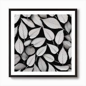 Black And White Leaves 1 Art Print