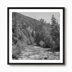 Untitled Photo, Possibly Related To Willamette National Forest, Lane County, Oregon, Salt Creek By Russell Lee Art Print
