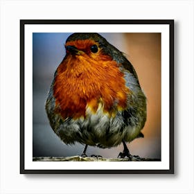 Posing Robin Art Print