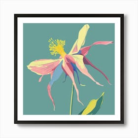 Columbine 2 Square Flower Illustration Art Print